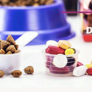 MARCO REGULATORIO ZOOSANITARIO PARA LAS EMPRESAS QUE MANUFACTURAN PRODUCTOS PARA USO O CONSUMO ANIMAL